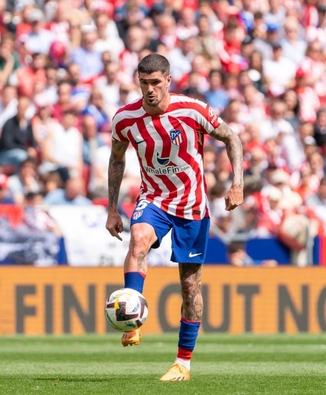 西班牙瓦伦西亚简介